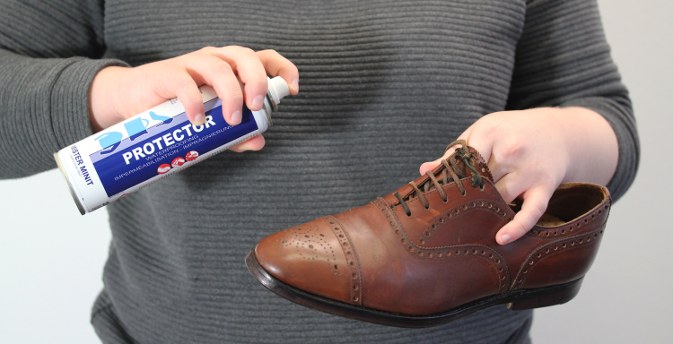 Utilize A Specialized Leather Shoe Cleaner